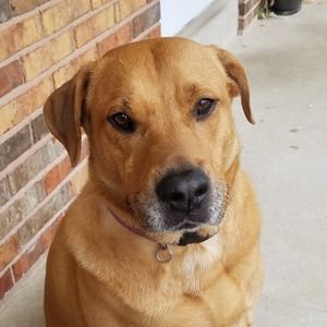 Meet your Posher, Linda